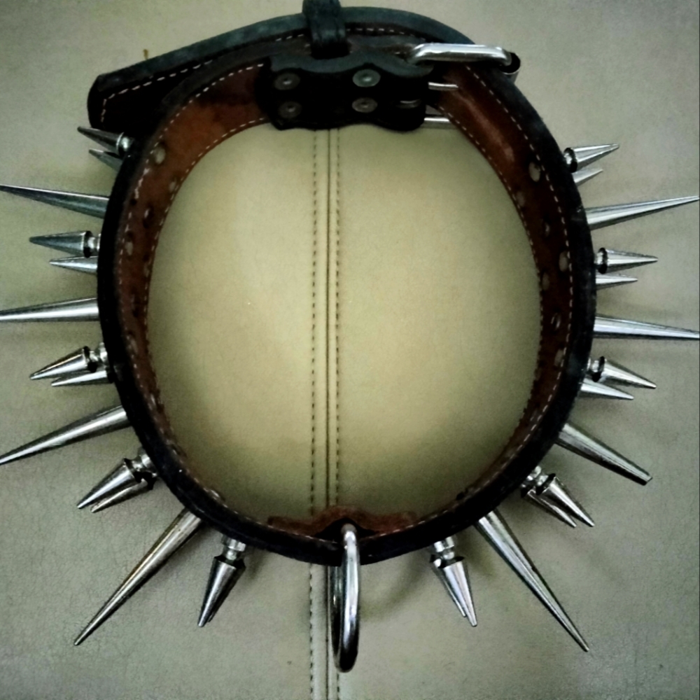 Leather Spike dog collar